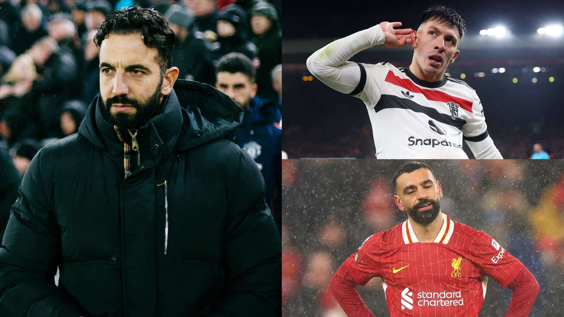 芒特庆祝动 芒特庆祝动