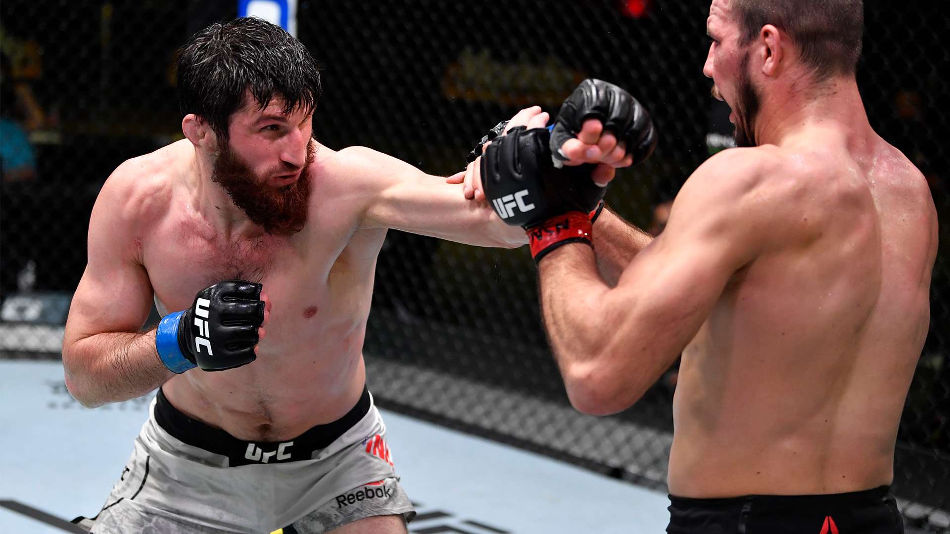 挖掘新的盈 挖掘新的盈