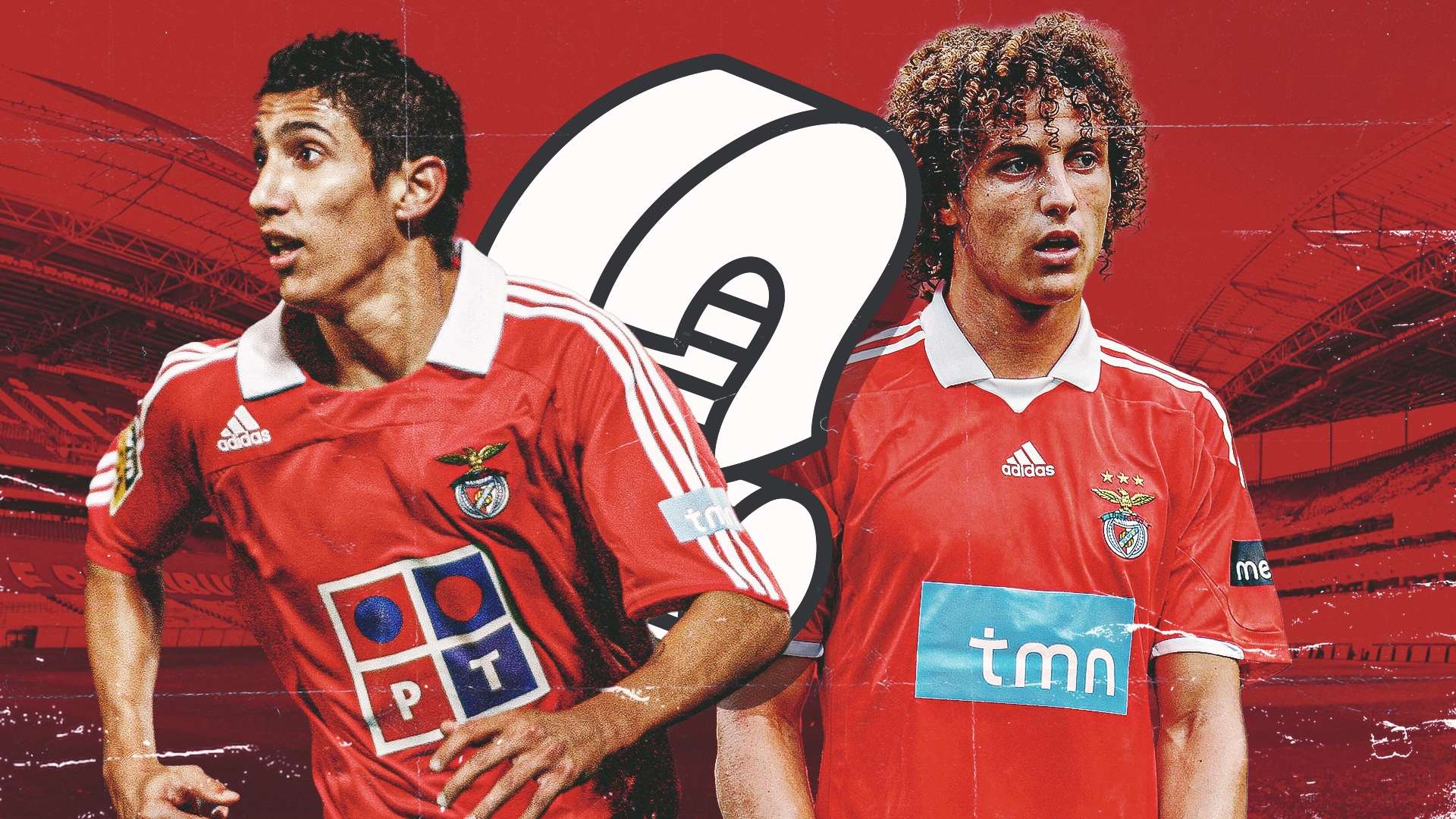 项冠军荣誉 项冠军荣誉